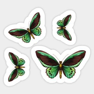 Colorful Butterfly , Cute Light Butterflies Gift Idea Sticker